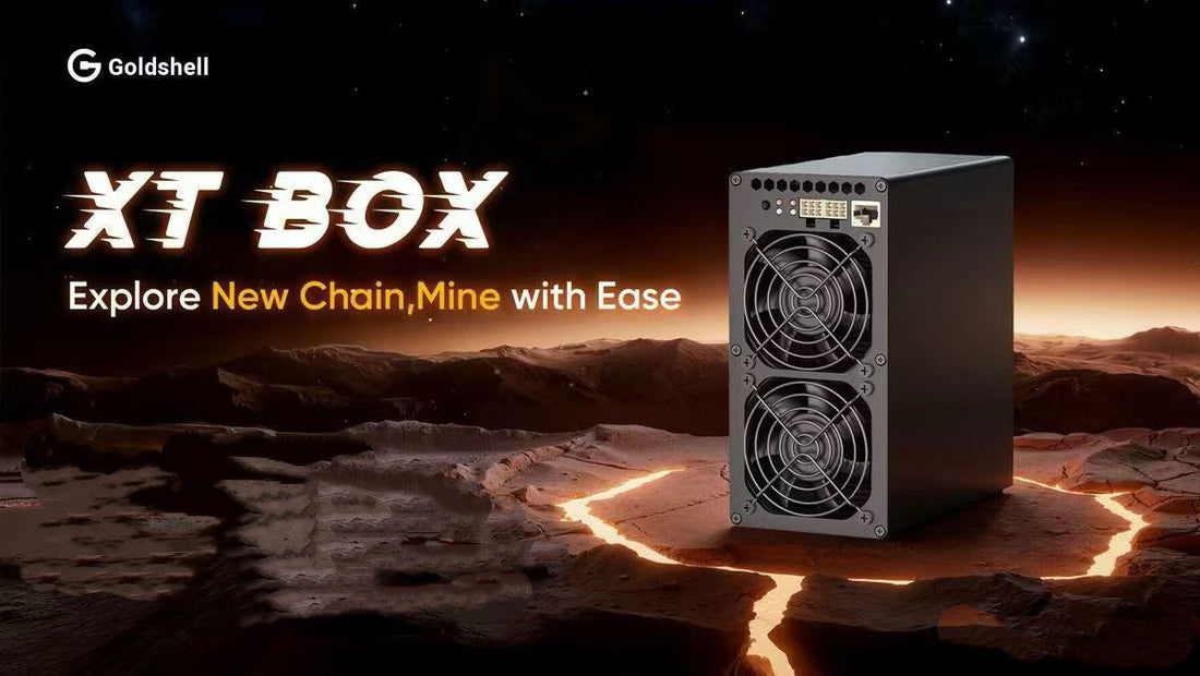 TARI + Goldshell Join Forces! XT BOX Officially Launched!